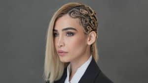 Hair Braids
